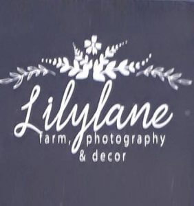 Lilylane Decor and Design