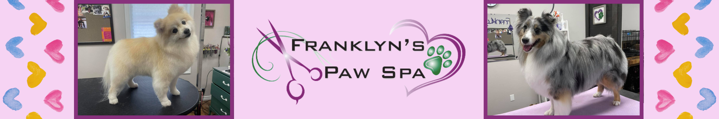 Franklyn’s Paw Spa